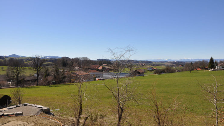 Überbauung Waldegg in Alterswil: unverbaubare Aussicht Richtung Tafers