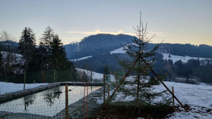 Infinity Naturstein-Pool