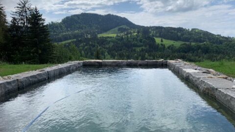 Infinity Naturstein-Pool