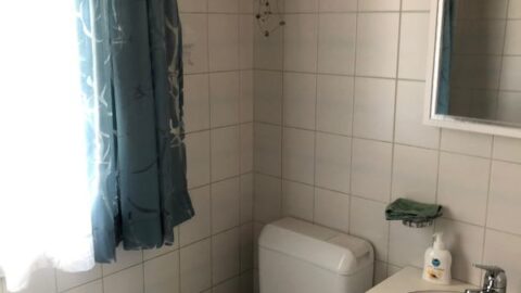 Tages WC vor dem Umbau